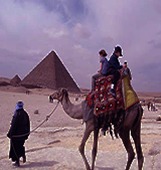 camel ride 1